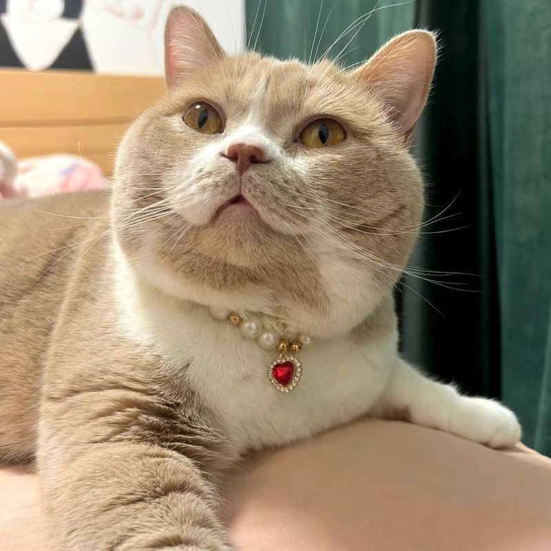 Popular Internet Celebrity Cat Pearl Necklace