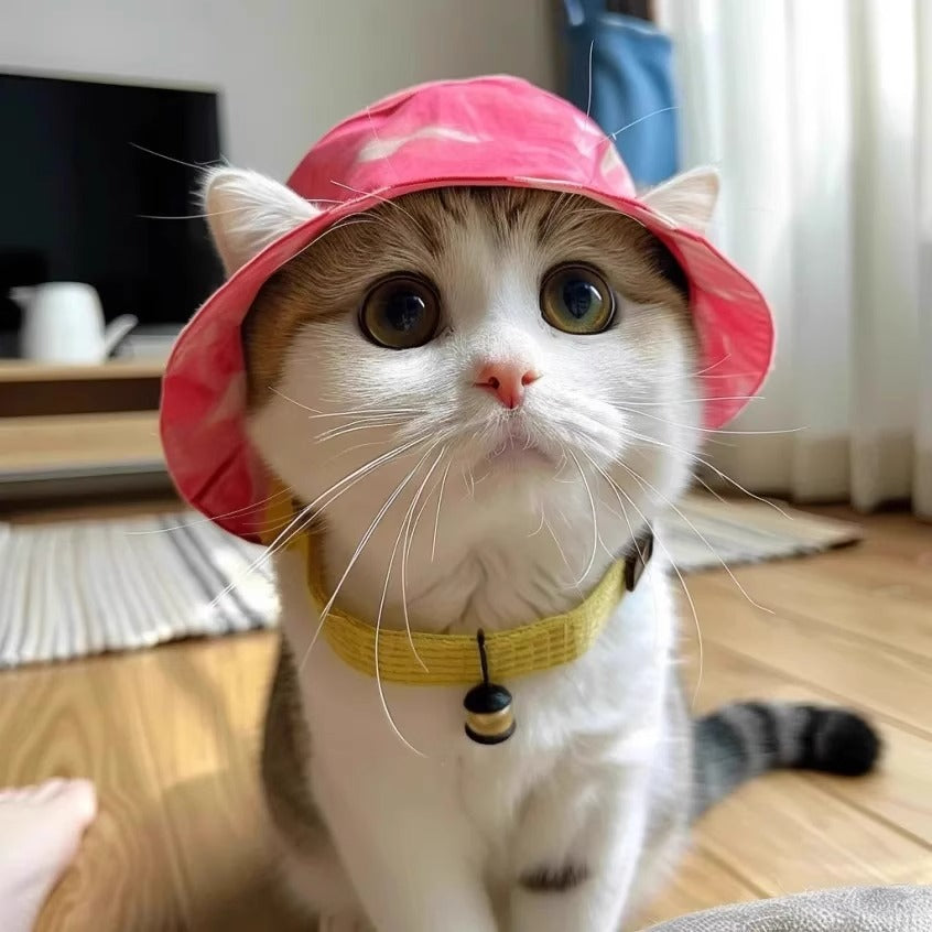 Cute Exposed Ears Pet Cat Dog Bucket Hat