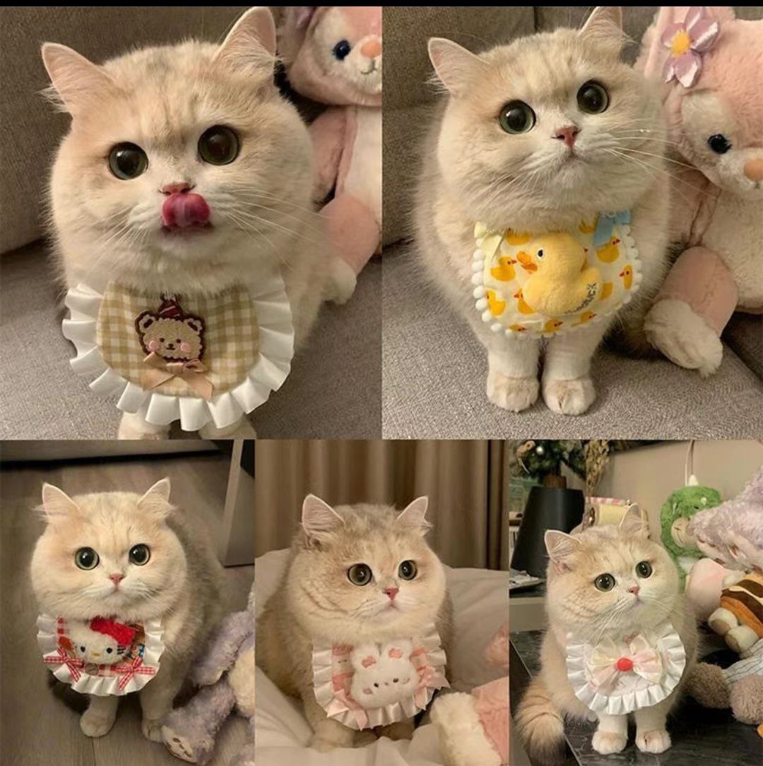 Pet's Saliva Towel Cat Bib Dog Lace Scarf
