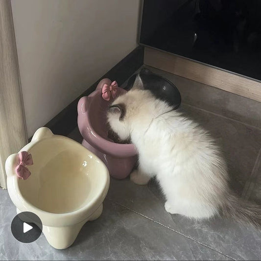 Protect The Cervical Vertebrae, Not Easy To Tip Over, And Prevent Black Chin Pet Bowl