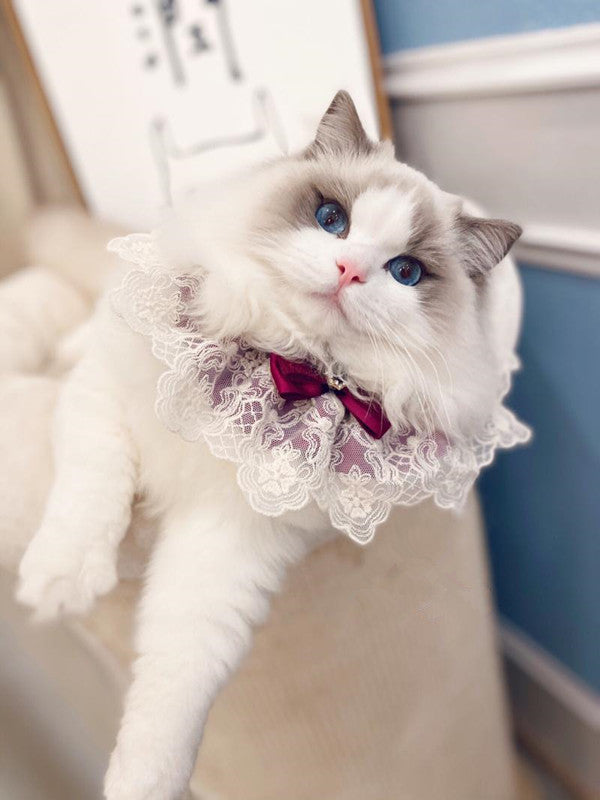 New Muppet Cat Lace Bib Pet Dog Schnauzer Teddy Bow Tie Bow Tie