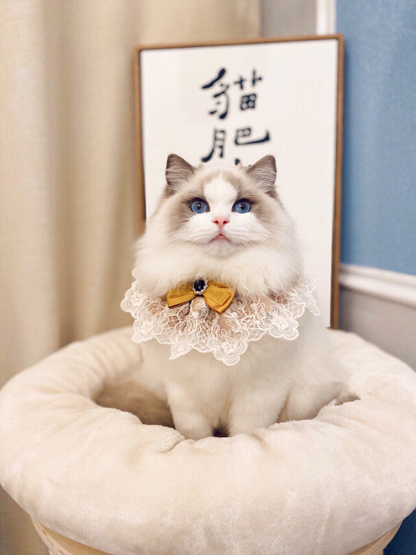 New Muppet Cat Lace Bib Pet Dog Schnauzer Teddy Bow Tie Bow Tie