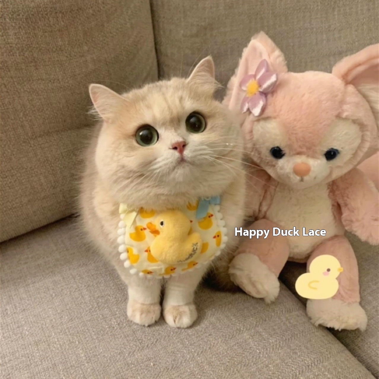 Pet's Saliva Towel Cat Bib Dog Lace Scarf