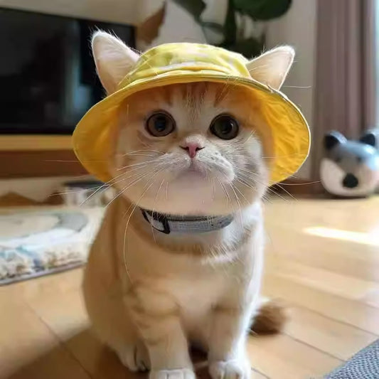 Cute Exposed Ears Pet Cat Dog Bucket Hat