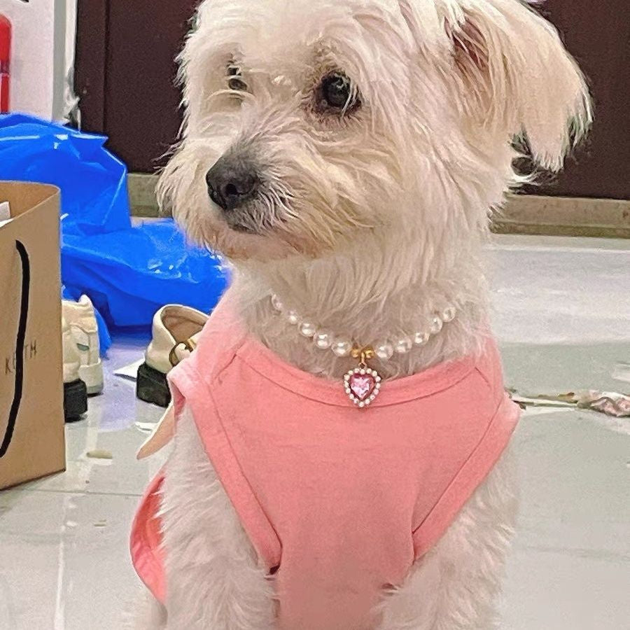 Popular Internet Celebrity Cat Pearl Necklace